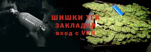 прущие крисы Арсеньев