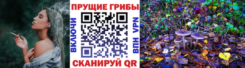 гидра вход  Бакал  Галлюциногенные грибы MAGIC MUSHROOMS 